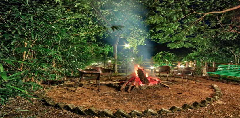 Tadoba Tiger King Resort