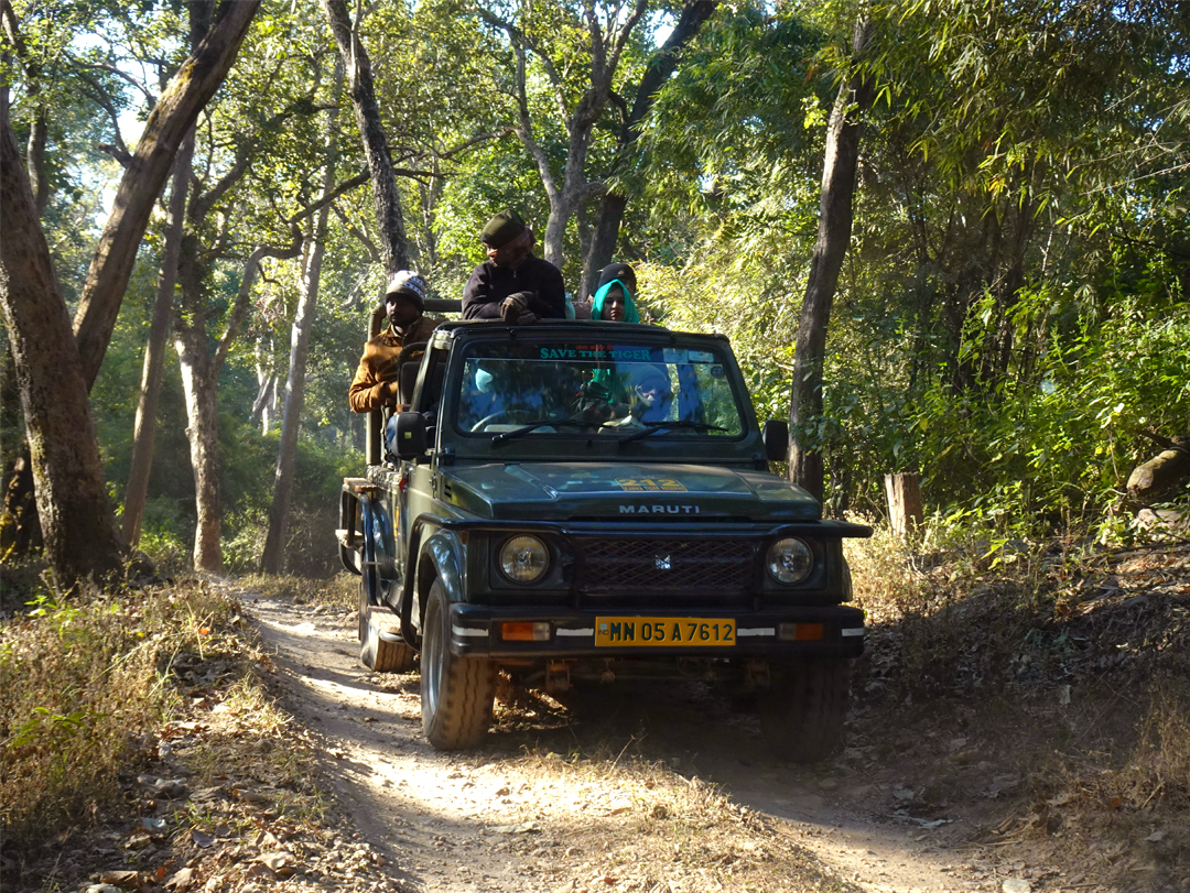 Tadoba Weekend Tour - 1Night / 2Days