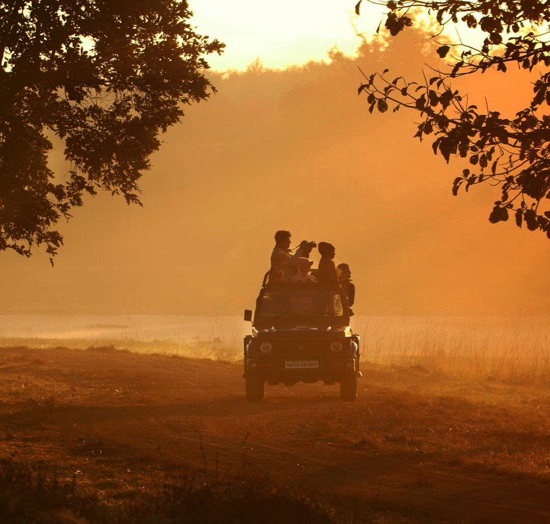About Jungle Safari India
