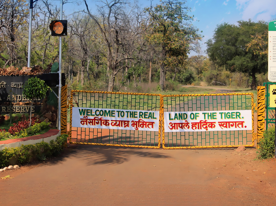 Tadoba National Park