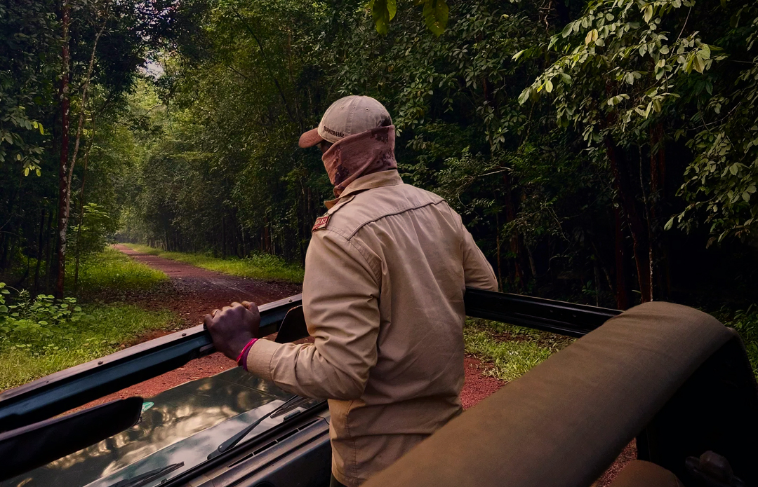 Tadoba Safari Booking