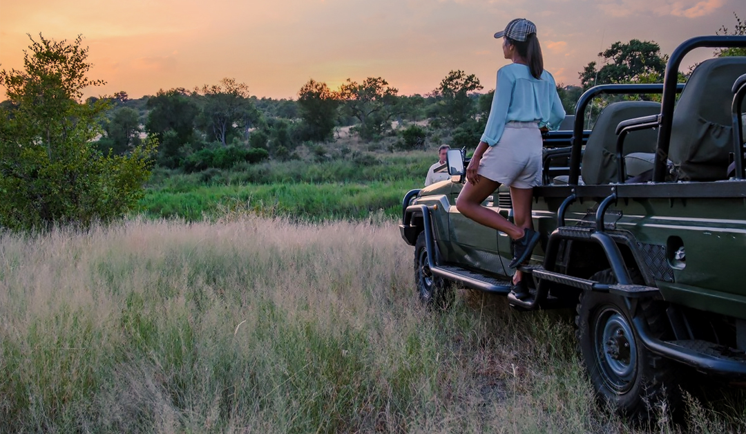 Tadoba Wildlife Safari