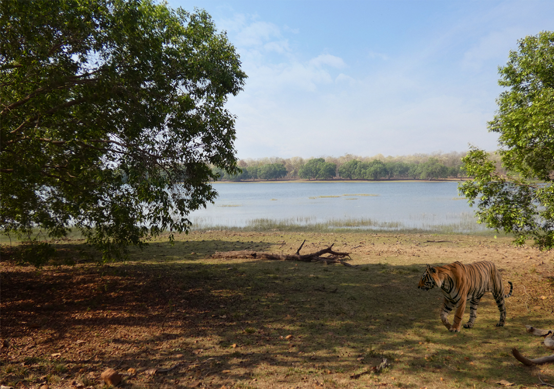 Boating in Irai Lake