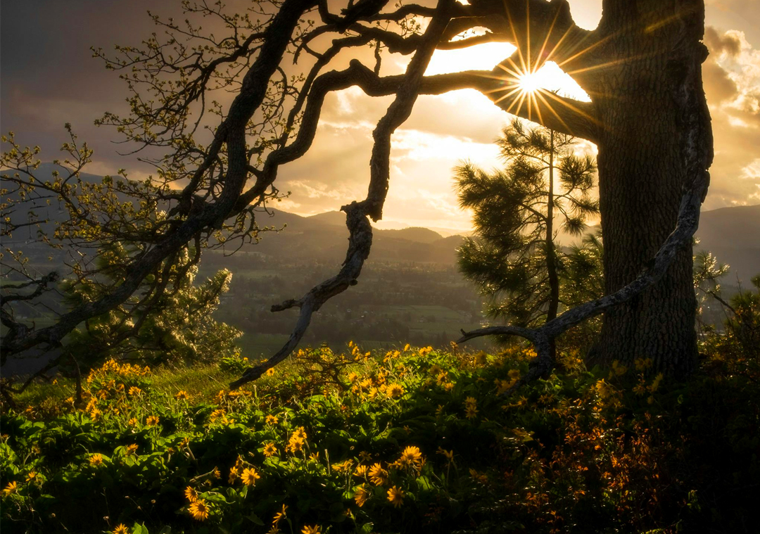 Boating in Irai Lake